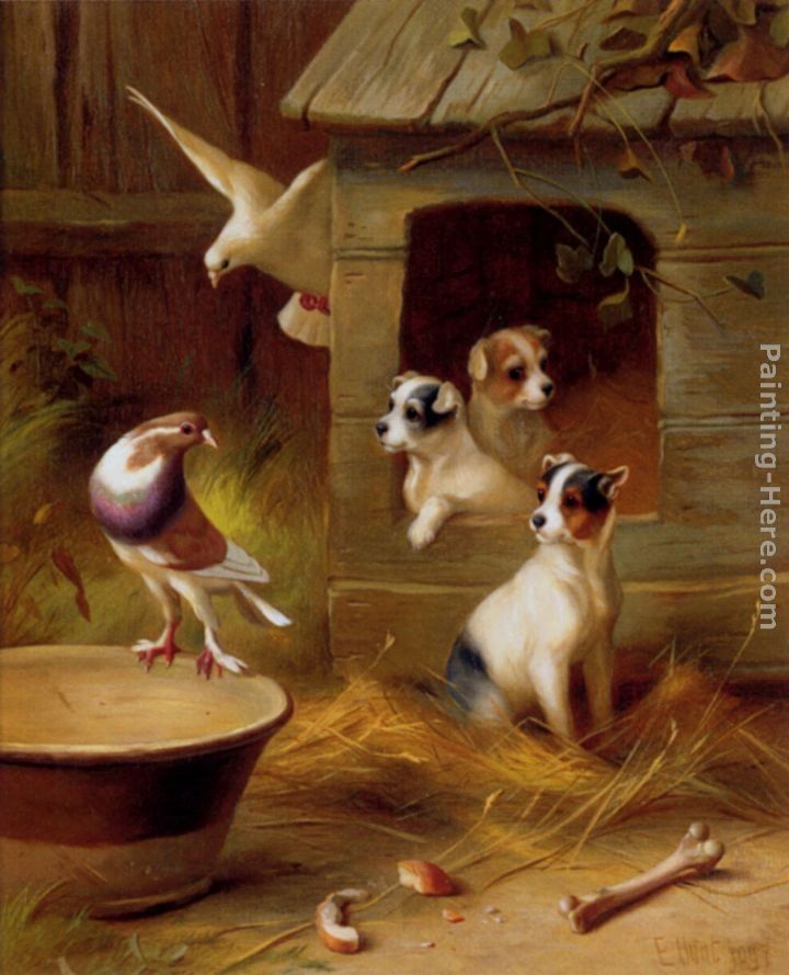 Edgar Hunt Pigeons And Puppies